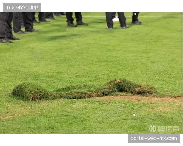 通讯:为迎接可能的决赛球队,温布利球场启动草皮维护与翻新工程。